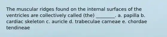 The muscular ridges found on the internal surfaces of the ventricles are collectively called (the) ________. a. papilla b. cardiac skeleton c. auricle d. trabeculae carneae e. chordae tendineae