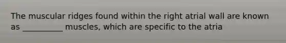 The muscular ridges found within the right atrial wall are known as __________ muscles, which are specific to the atria