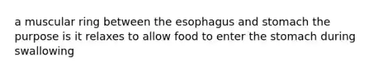 a muscular ring between the esophagus and stomach the purpose is it relaxes to allow food to enter the stomach during swallowing