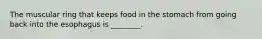 The muscular ring that keeps food in the stomach from going back into the esophagus is ________.