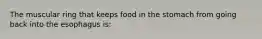 The muscular ring that keeps food in the stomach from going back into the esophagus is: