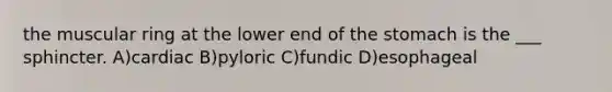 the muscular ring at the lower end of the stomach is the ___ sphincter. A)cardiac B)pyloric C)fundic D)esophageal