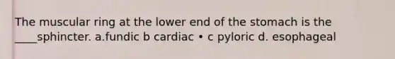 The muscular ring at the lower end of the stomach is the ____sphincter. a.fundic b cardiac • c pyloric d. esophageal