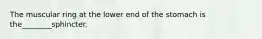 The muscular ring at the lower end of the stomach is the________sphincter.