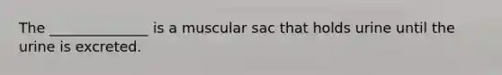 The ______________ is a muscular sac that holds urine until the urine is excreted.