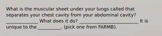 What is the muscular sheet under your lungs called that separates your chest cavity from your abdominal cavity? ______________ What does it do? __________________________ It is unique to the __________. (pick one from FARMB).