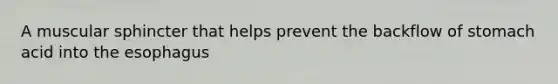 A muscular sphincter that helps prevent the backflow of stomach acid into the esophagus