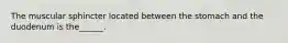 The muscular sphincter located between the stomach and the duodenum is the______.