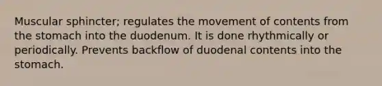 Muscular sphincter; regulates the movement of contents from the stomach into the duodenum. It is done rhythmically or periodically. Prevents backflow of duodenal contents into the stomach.