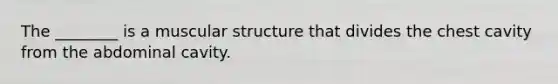 The ________ is a muscular structure that divides the chest cavity from the abdominal cavity.