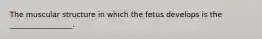 The muscular structure in which the fetus develops is the _________________.