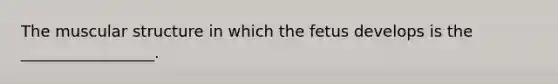 The muscular structure in which the fetus develops is the _________________.