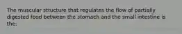 The muscular structure that regulates the flow of partially digested food between the stomach and the small intestine is the: