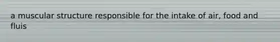 a muscular structure responsible for the intake of air, food and fluis
