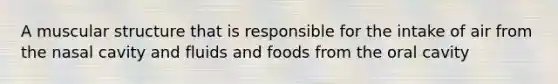 A muscular structure that is responsible for the intake of air from the nasal cavity and fluids and foods from the oral cavity