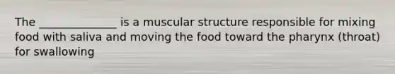 The ______________ is a muscular structure responsible for mixing food with saliva and moving the food toward the pharynx (throat) for swallowing