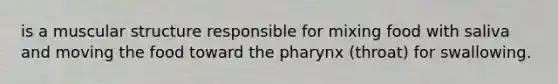is a muscular structure responsible for mixing food with saliva and moving the food toward the pharynx (throat) for swallowing.