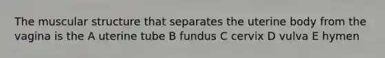 The muscular structure that separates the uterine body from the vagina is the A uterine tube B fundus C cervix D vulva E hymen