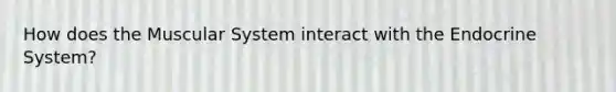 How does the Muscular System interact with the Endocrine System?
