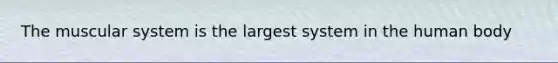The muscular system is the largest system in the human body