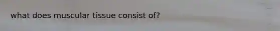 what does muscular tissue consist of?