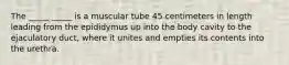 The _____ _____ is a muscular tube 45 centimeters in length leading from the epididymus up into the body cavity to the ejaculatory duct, where it unites and empties its contents into the urethra.