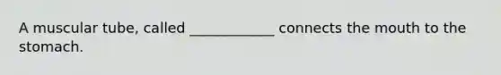 A muscular tube, called ____________ connects the mouth to the stomach.