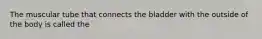 The muscular tube that connects the bladder with the outside of the body is called the