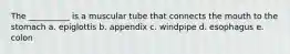 The __________ is a muscular tube that connects the mouth to the stomach a. epiglottis b. appendix c. windpipe d. esophagus e. colon