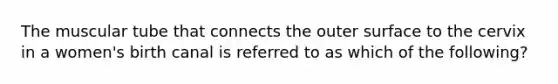 The muscular tube that connects the outer surface to the cervix in a women's birth canal is referred to as which of the following?