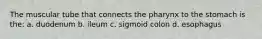 The muscular tube that connects the pharynx to the stomach is the: a. duodenum b. ileum c. sigmoid colon d. esophagus