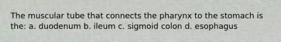 The muscular tube that connects the pharynx to the stomach is the: a. duodenum b. ileum c. sigmoid colon d. esophagus
