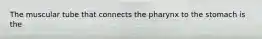 The muscular tube that connects the pharynx to the stomach is the