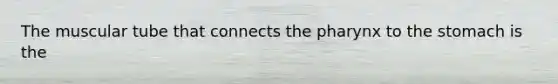 The muscular tube that connects the pharynx to the stomach is the