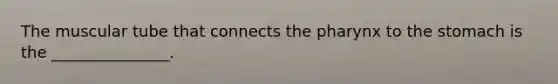 The muscular tube that connects the pharynx to the stomach is the _______________.
