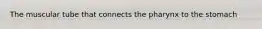 The muscular tube that connects the pharynx to the stomach