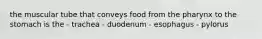 the muscular tube that conveys food from the pharynx to the stomach is the - trachea - duodenum - esophagus - pylorus