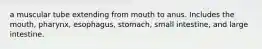 a muscular tube extending from mouth to anus. Includes the mouth, pharynx, esophagus, stomach, small intestine, and large intestine.