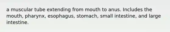 a muscular tube extending from mouth to anus. Includes the mouth, pharynx, esophagus, stomach, small intestine, and large intestine.