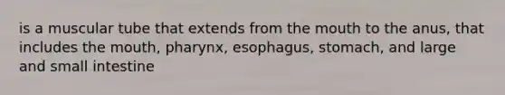 is a muscular tube that extends from the mouth to the anus, that includes the mouth, pharynx, esophagus, stomach, and large and small intestine