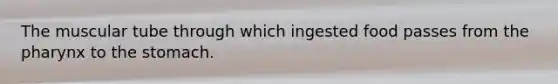 The muscular tube through which ingested food passes from the pharynx to the stomach.