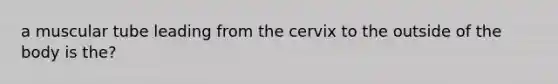 a muscular tube leading from the cervix to the outside of the body is the?