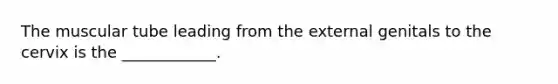 The muscular tube leading from the external genitals to the cervix is the ____________.