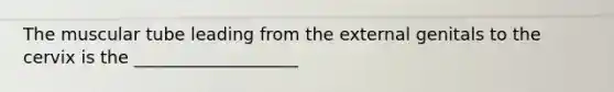 The muscular tube leading from the external genitals to the cervix is the ___________________