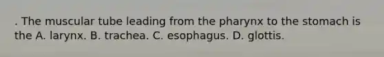 . The muscular tube leading from the pharynx to the stomach is the A. larynx. B. trachea. C. esophagus. D. glottis.