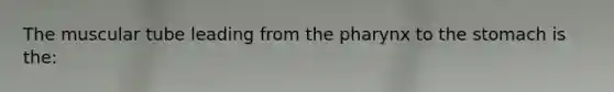 The muscular tube leading from <a href='https://www.questionai.com/knowledge/ktW97n6hGJ-the-pharynx' class='anchor-knowledge'>the pharynx</a> to the stomach is the: