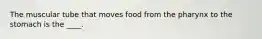The muscular tube that moves food from the pharynx to the stomach is the ____.