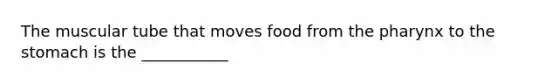 The muscular tube that moves food from <a href='https://www.questionai.com/knowledge/ktW97n6hGJ-the-pharynx' class='anchor-knowledge'>the pharynx</a> to <a href='https://www.questionai.com/knowledge/kLccSGjkt8-the-stomach' class='anchor-knowledge'>the stomach</a> is the ___________