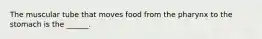 The muscular tube that moves food from the pharynx to the stomach is the ______.