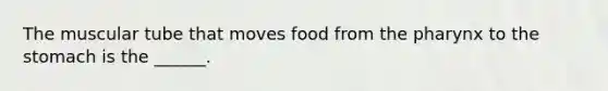 The muscular tube that moves food from the pharynx to the stomach is the ______.